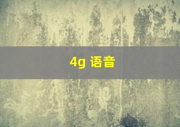 4g 语音